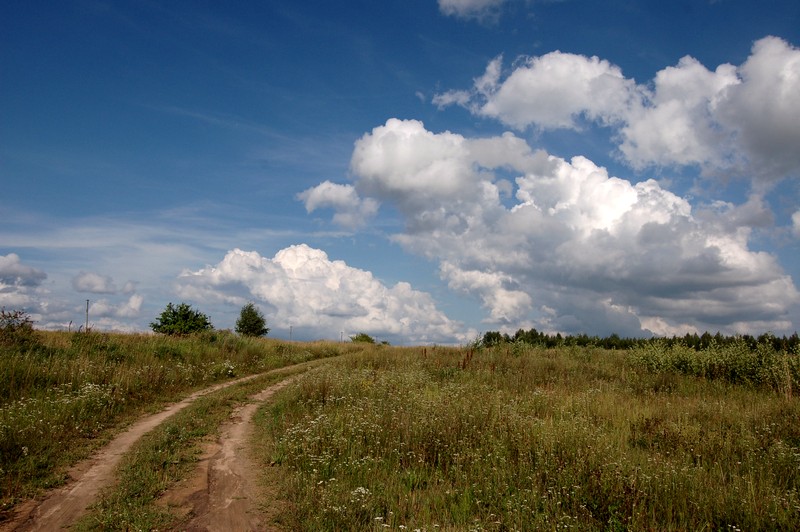фото "пейзаж среднерусской полосы" метки: пейзаж, дорога, лето, облака, поле