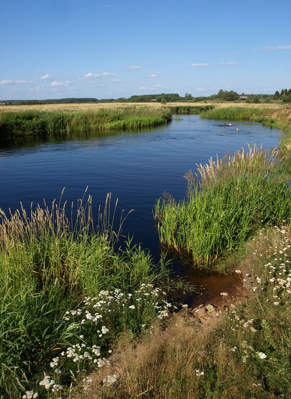 photo "***" tags: landscape, field, summer, water