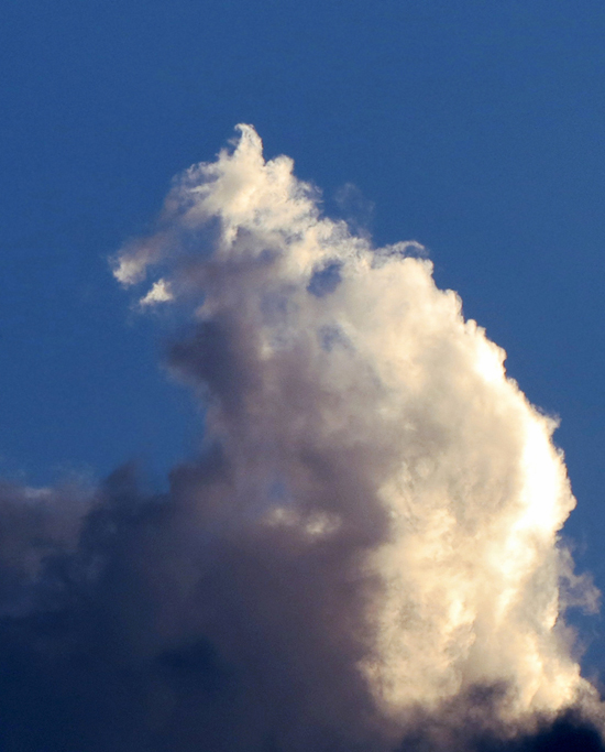 фото "Душа одного волка" метки: природа, натюрморт, панорама, дикие животные, закат, небо, облака