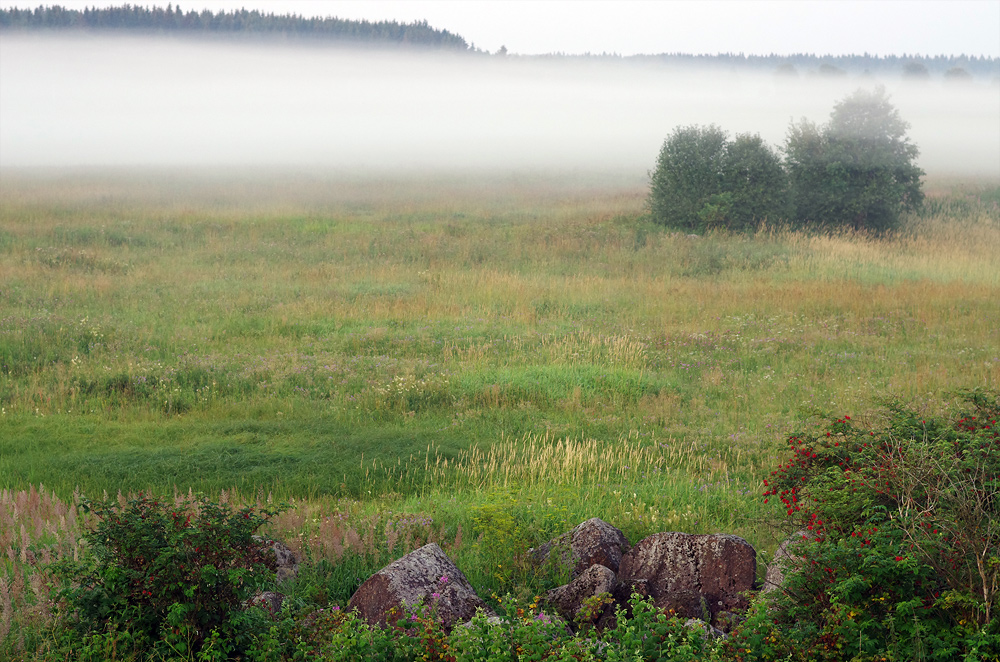 photo "***" tags: landscape, 