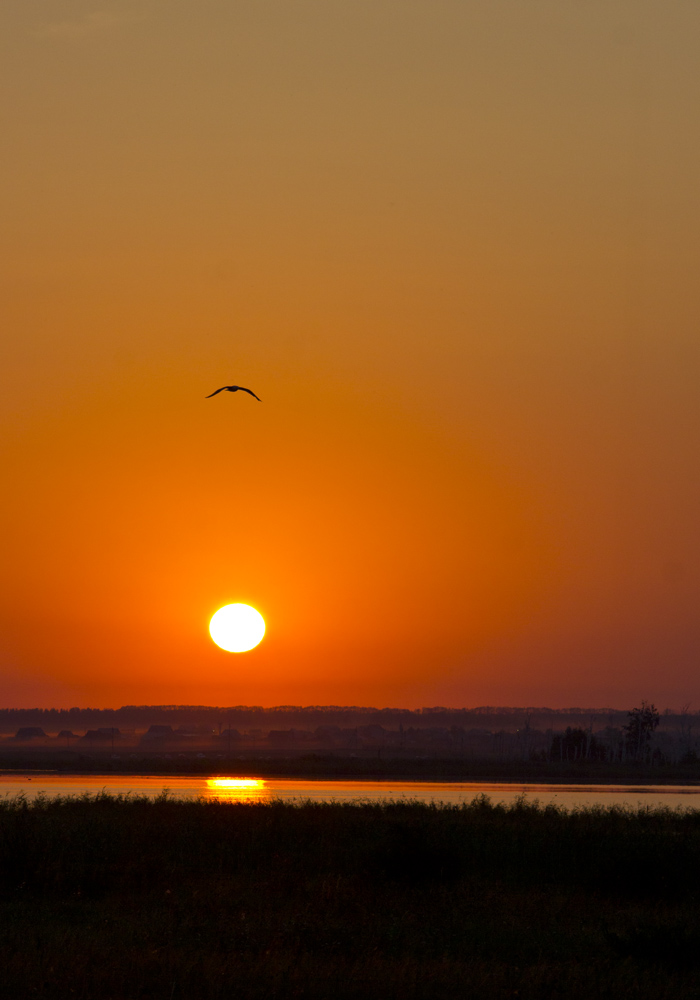 photo "***" tags: landscape, nature, morning, summer, sunrise, Башкортостан, Южный Урал, лучи Солнца, полет птицы