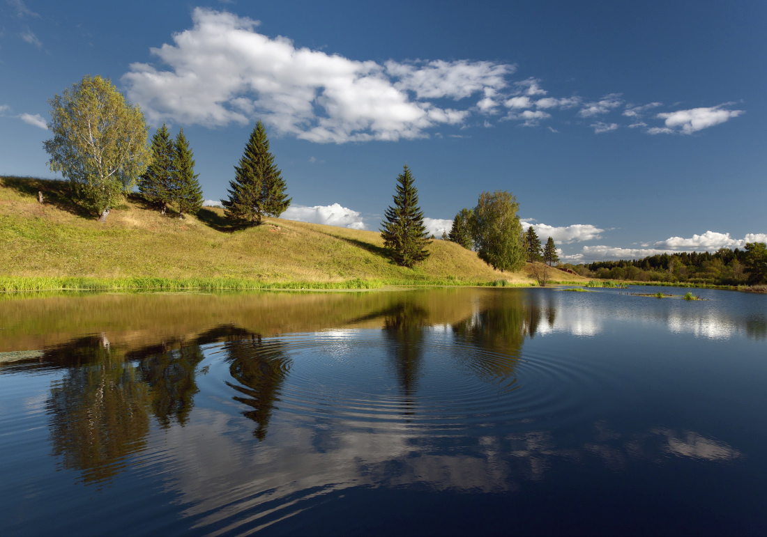 photo "***" tags: landscape, clouds, forest, lake, reflections, summer, tree, water, круги