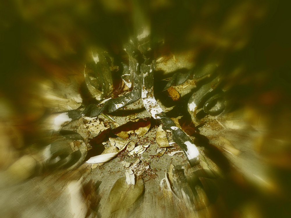 photo "***" tags: abstract, 