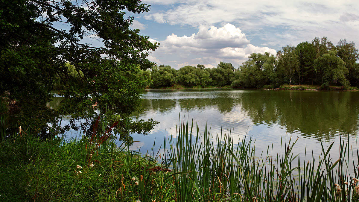 photo "***" tags: landscape, pond