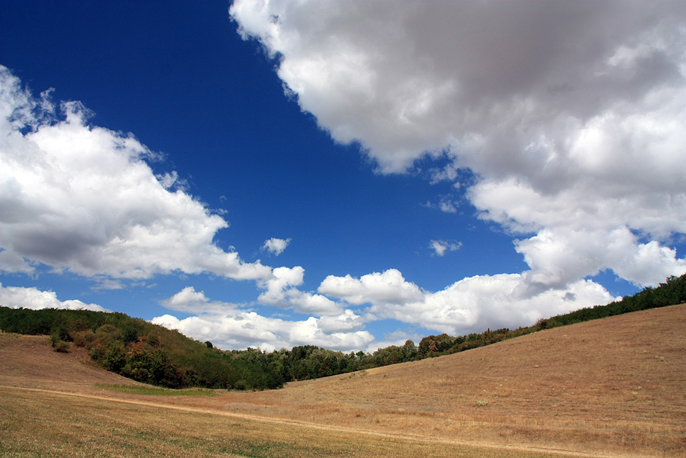 photo "***" tags: landscape, clouds, forest, sky, summer