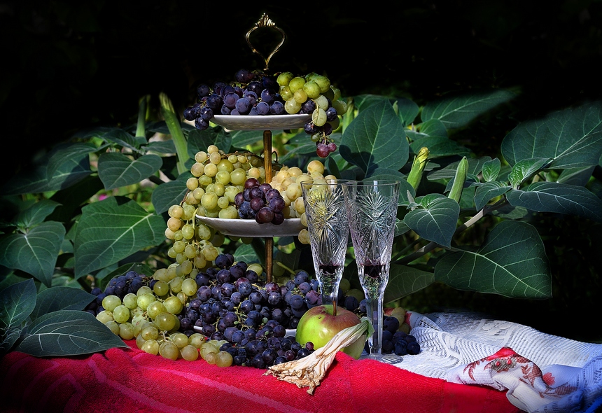 фото "Дурман и виноград" метки: натюрморт, вино, виноград, дурман
