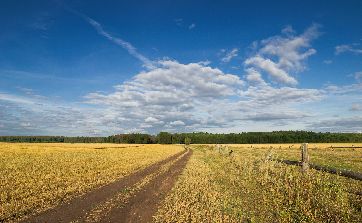 photo "***" tags: landscape, nature, clouds, field, forest, sky, summer