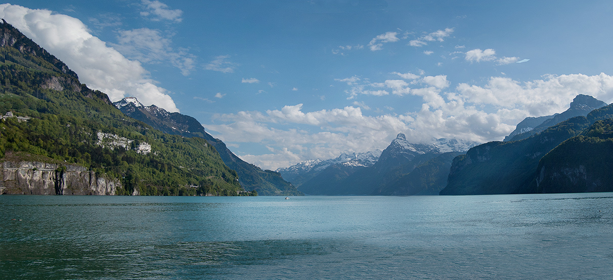 фото "Две уточки и лодка :)" метки: пейзаж, панорама, путешествия, Vierwaldstädtsee Schweiz