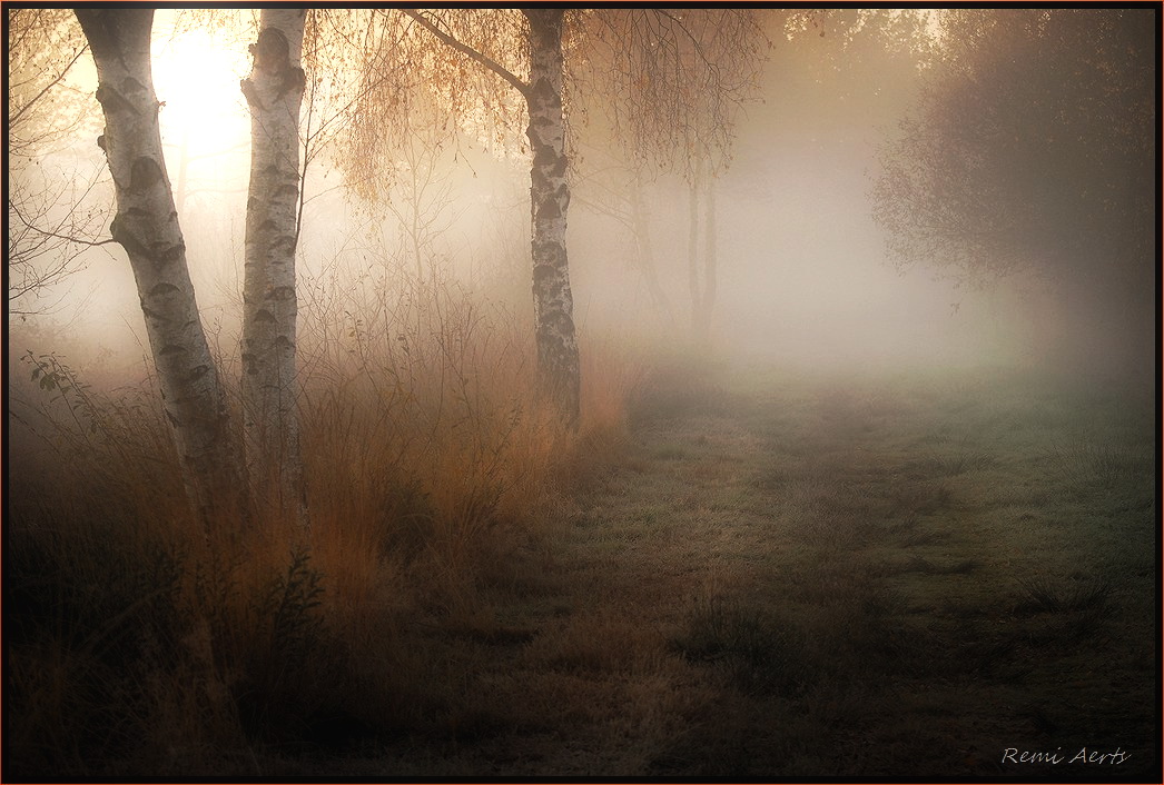 photo "***" tags: landscape, nature, fog, sunset