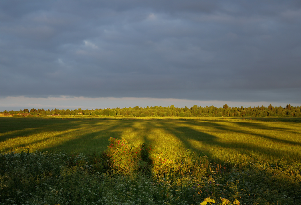 photo "***" tags: landscape, 