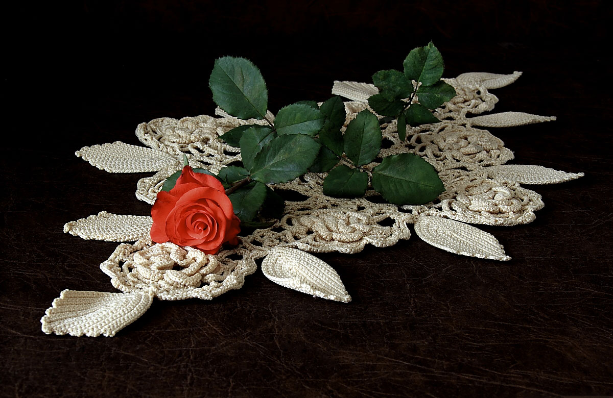 photo "Macrame with roses." tags: still life, макраме, роза