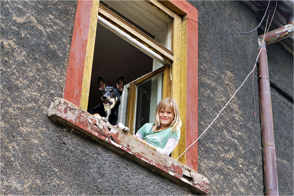 фото "Rīga. Веселая компания :)" метки: город, Европа, домашние животные, люди, собаки, улица