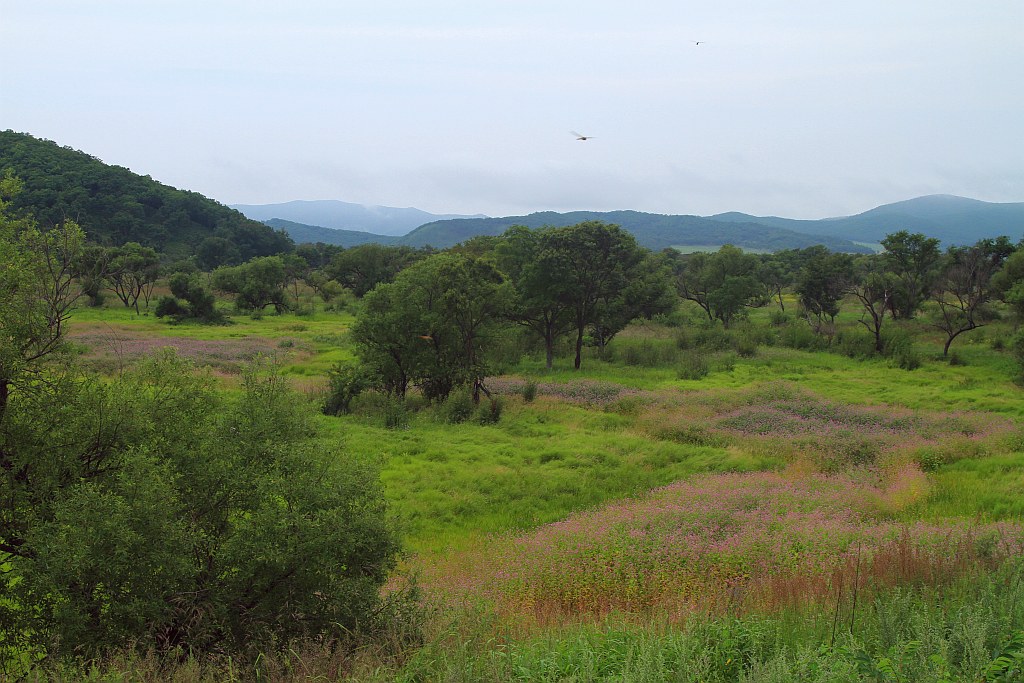 photo "***" tags: landscape, 