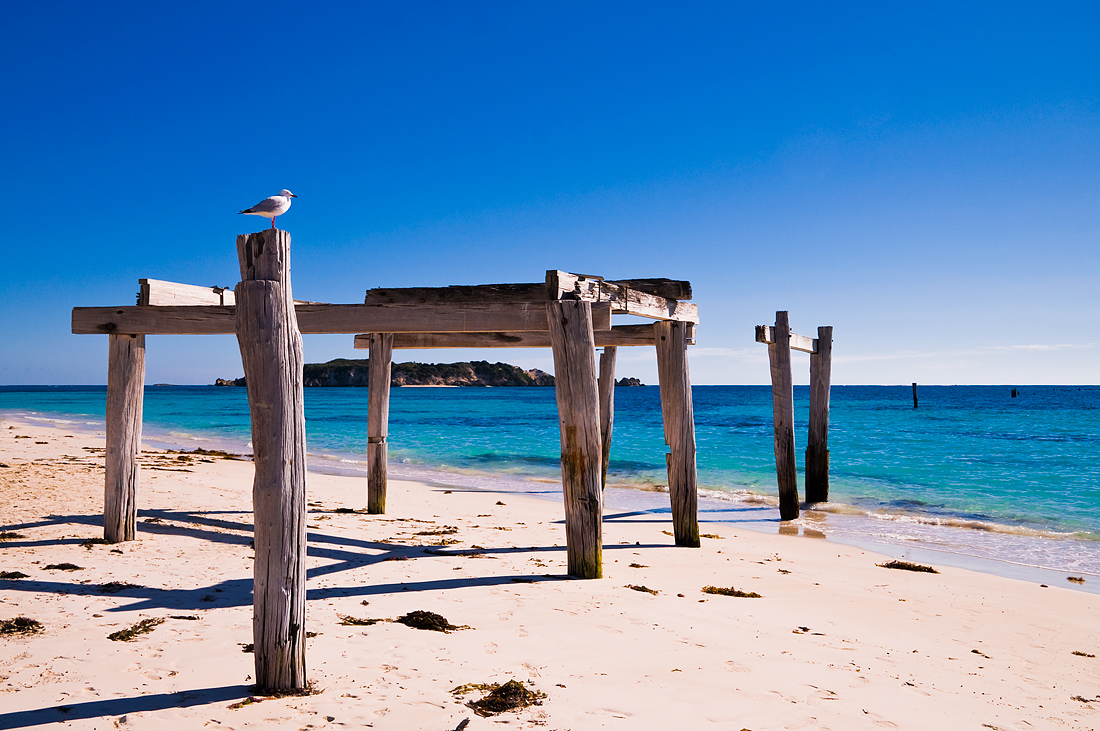 photo "Signs of the past prosperity" tags: landscape, beach, bird, water