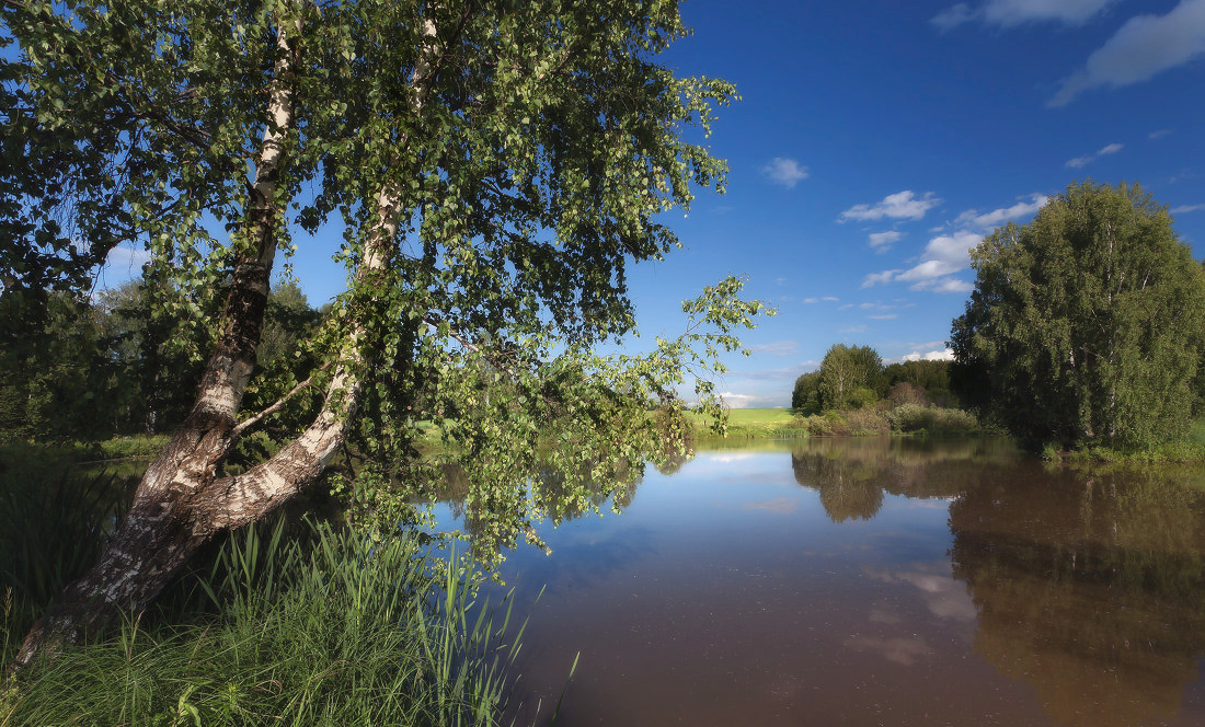 photo "***" tags: landscape, birches, clouds, grass, lake, reflections, tree