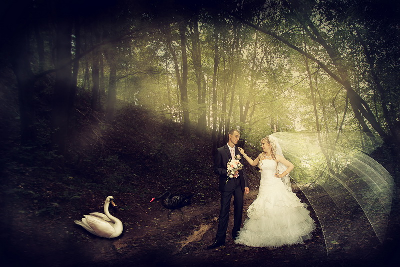 photo "***" tags: montage, 
