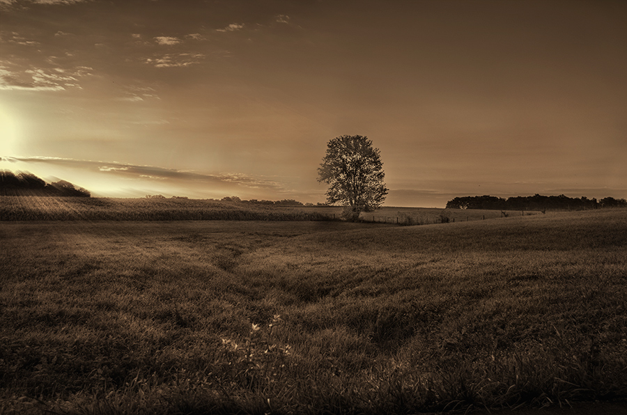 photo "***" tags: landscape, 