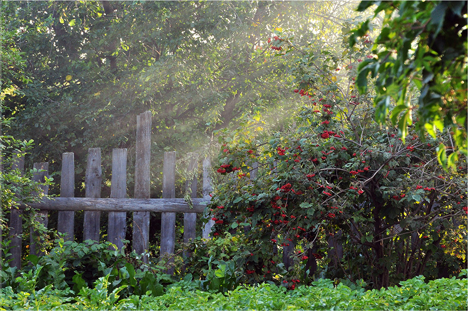 photo "***" tags: landscape, summer