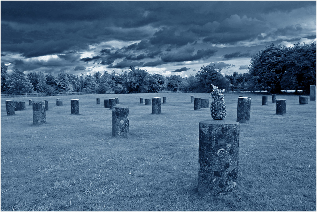 photo "Woodhenge" tags: travel, дерева