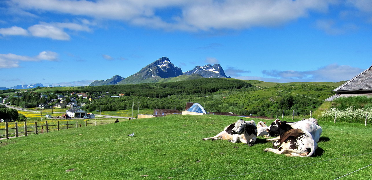 photo "***" tags: landscape, Norway