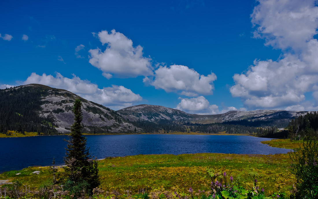 photo "Oyskoe" tags: landscape, flowers, lake, mountains, summer, sun, water, Красноярский край