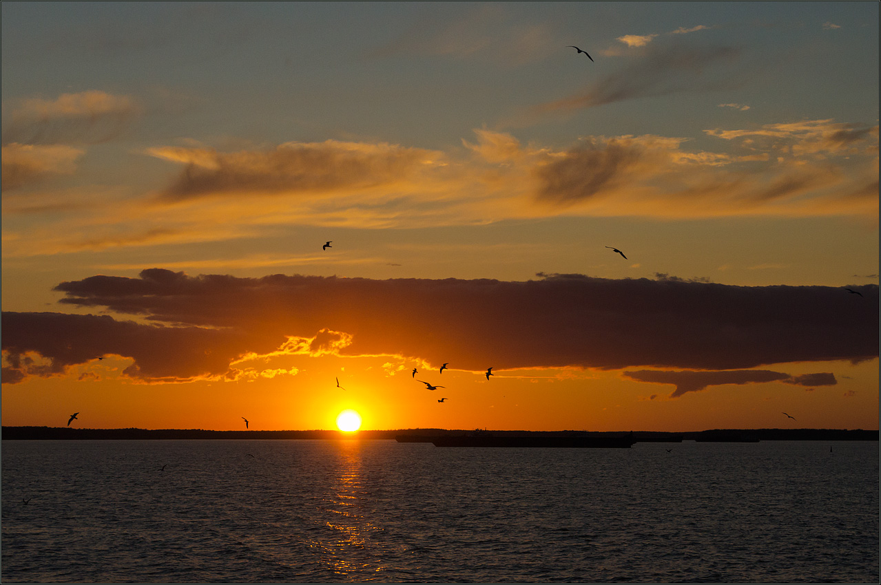 photo "Circling seagulls ..." tags: landscape, clouds, sunset, water