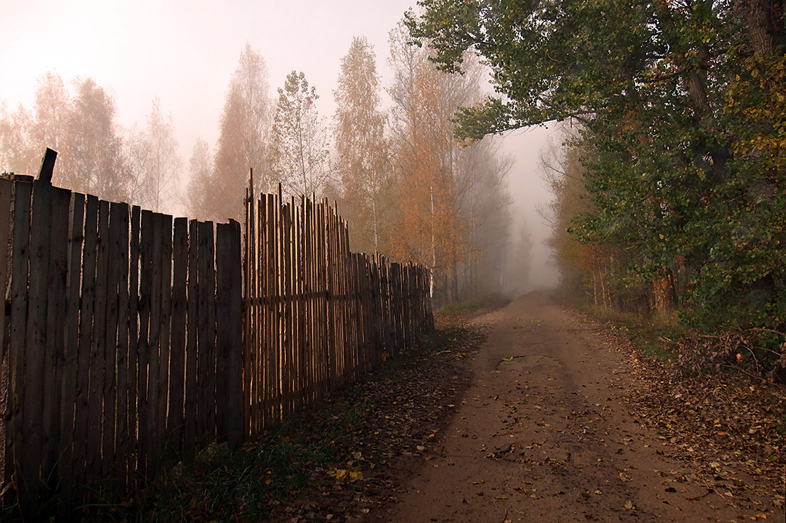 photo "***" tags: landscape, autumn, fog, road