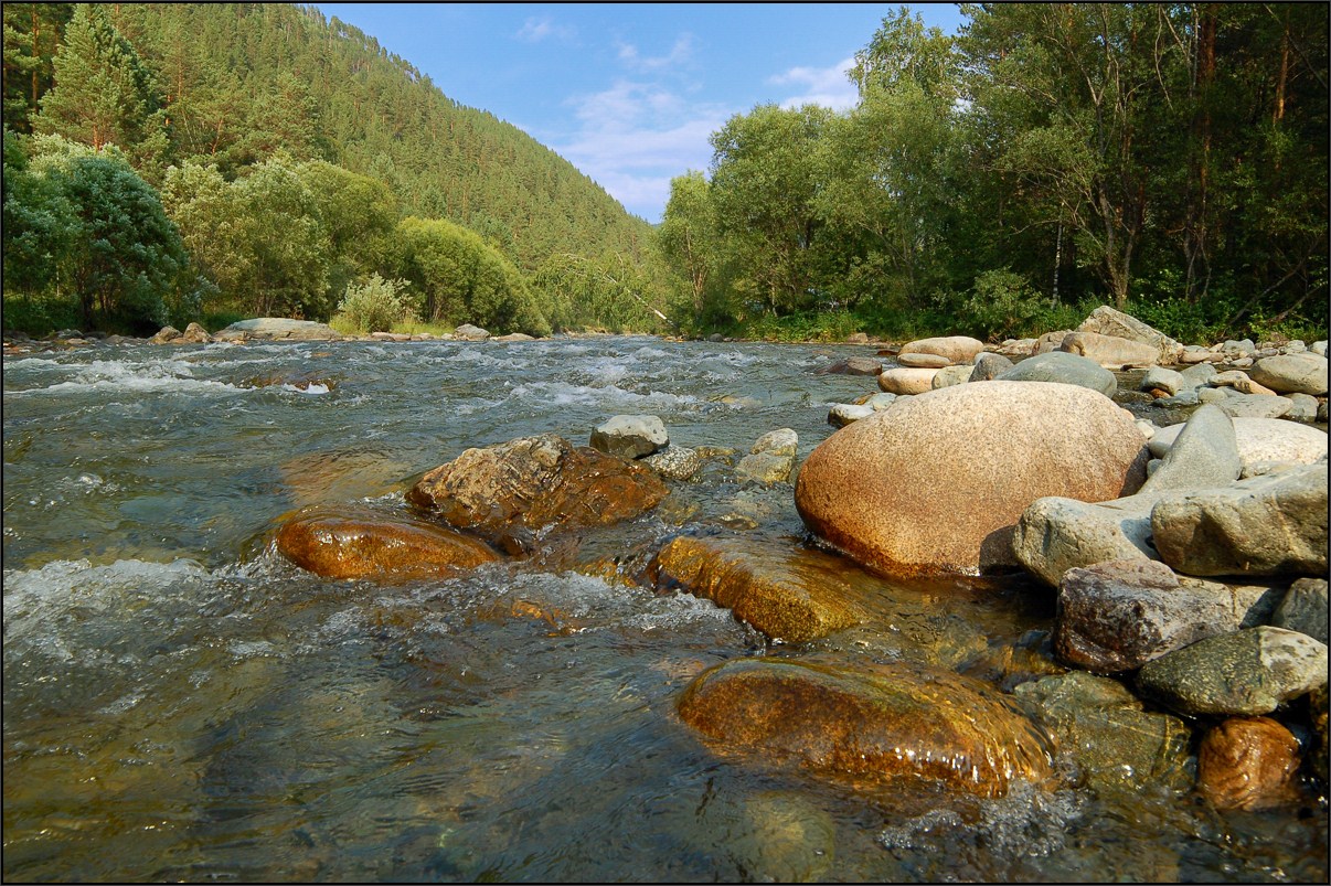 фото "Быстрая речка" метки: пейзаж, вода, камень, лес, пороги, река