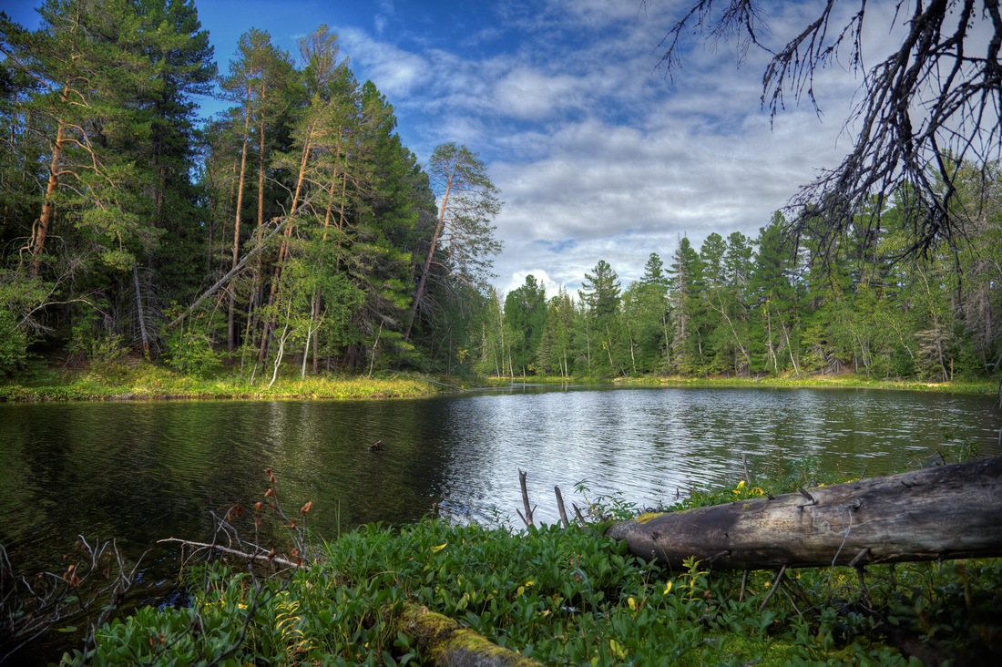 photo "***" tags: landscape, clouds, forest, river, summer