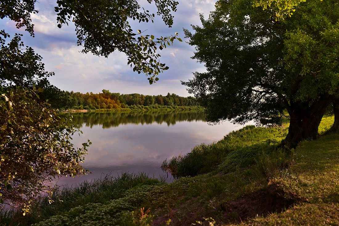 photo "***" tags: landscape, coast, river, summer, water, Дон