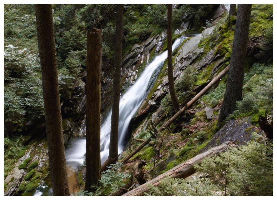 photo "white creek" tags: landscape, nature, 
