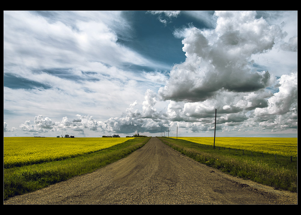 фото "Prairie back roads" метки: пейзаж, 