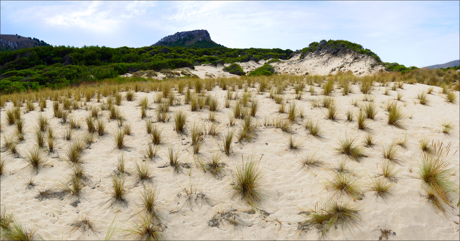 фото "Dunes..." метки: пейзаж, панорама, природа, Европа, Испания, Майорка, горы, дюны, песок, пустыня, скалы