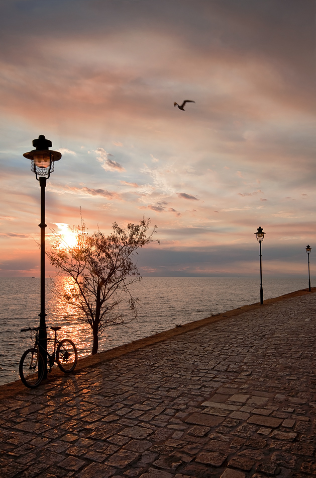 photo "Sadness" tags: landscape, evening, sea, sunset, Хорватия, чайка