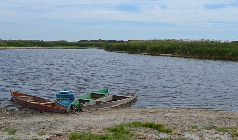 photo "***" tags: landscape, river, summer