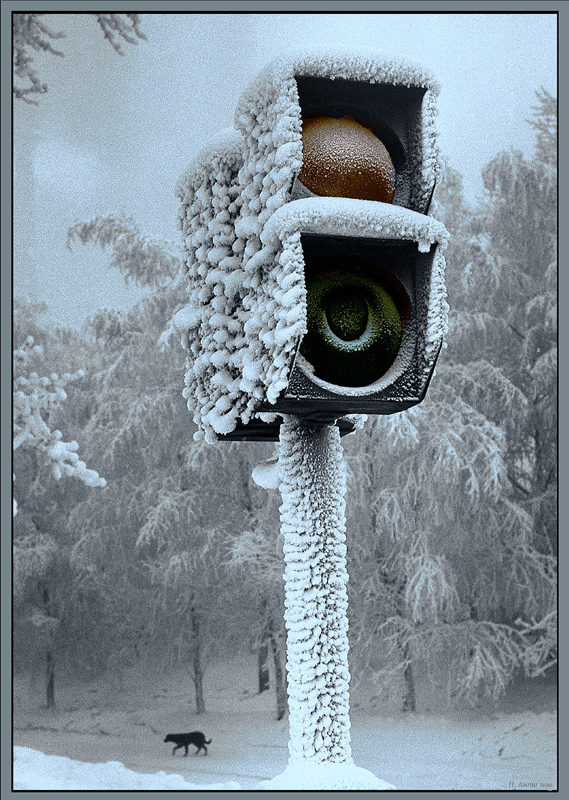 photo "***" tags: landscape, hoarfrost