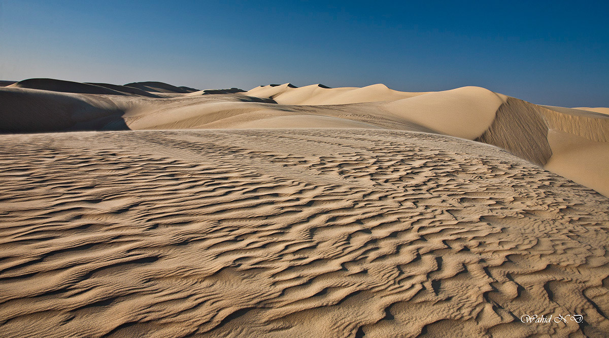 photo "Sand Dunes" tags: landscape, Dsert, Sand