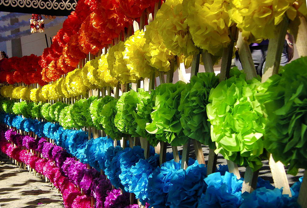 photo "Rainbow paper flowers" tags: travel, 