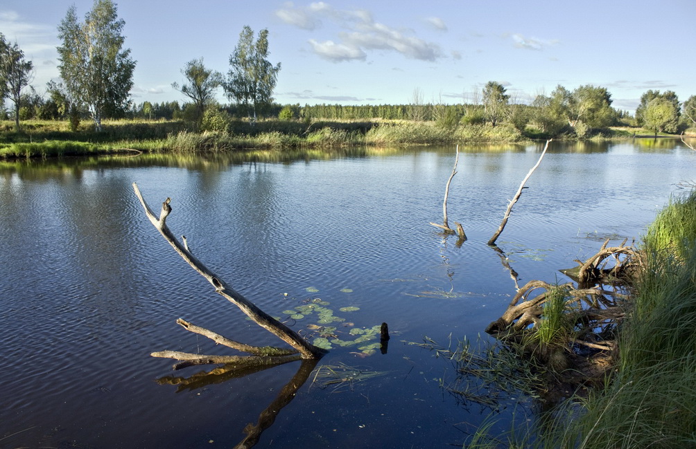 фото "Рыбное место" метки: пейзаж, осень