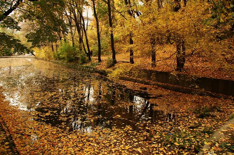 фото "Осеннее" метки: пейзаж, 