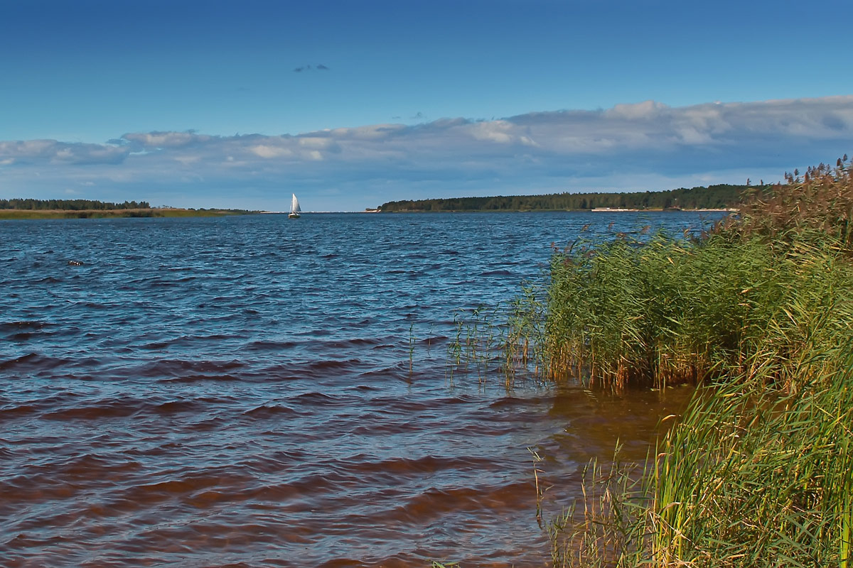 фото "Белеет парус одинокий..." метки: пейзаж, вода, лето, облака