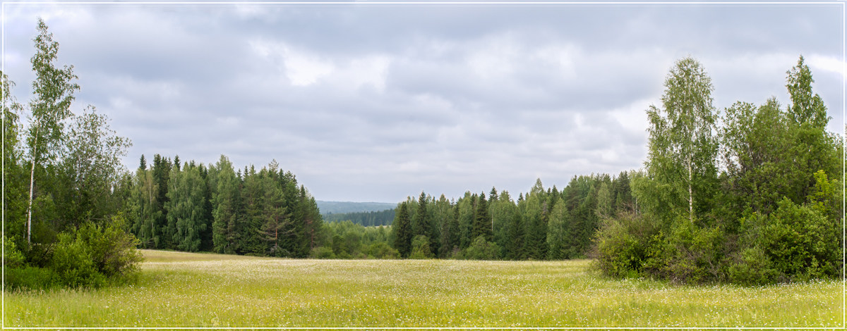 фото "****" метки: пейзаж, панорама, лес, лето