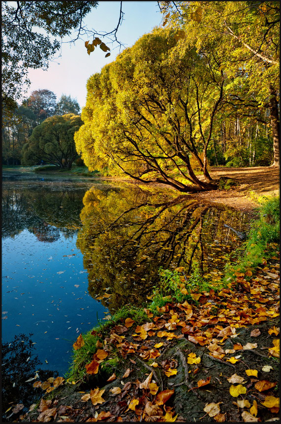 photo "***" tags: landscape, nature, autumn, forest, leaf, pond, tree, water