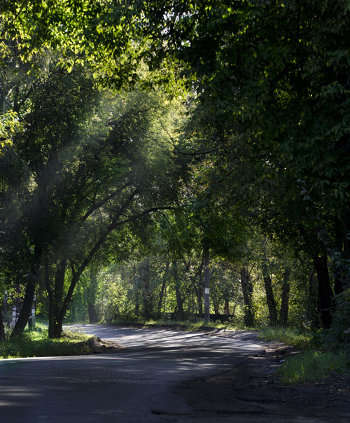 photo "***" tags: landscape, road