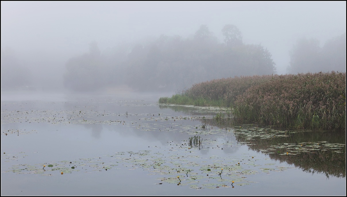 photo "autumn fog" tags: landscape, 