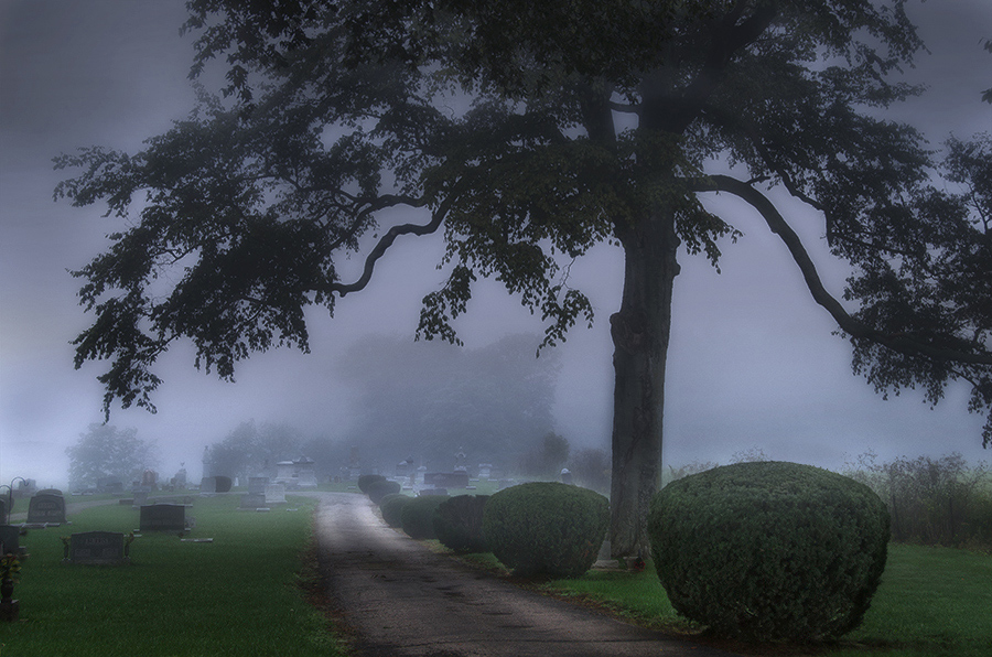 photo "***" tags: , 