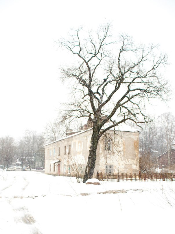 photo "Метель" tags: landscape, winter