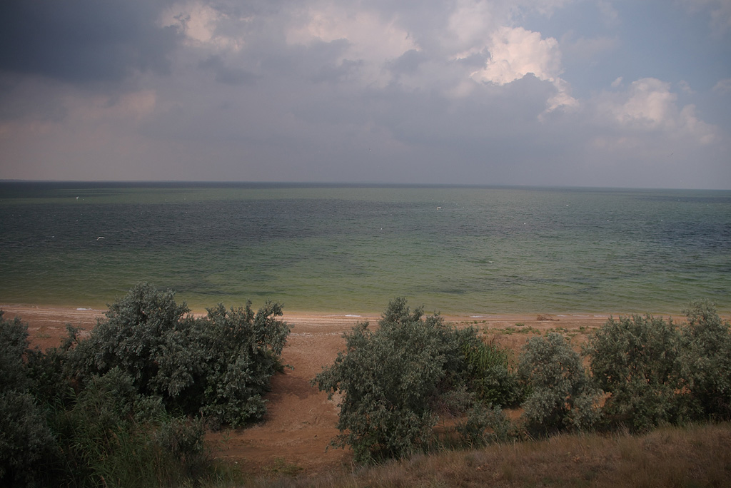 фото "Зелёное море." метки: пейзаж, 