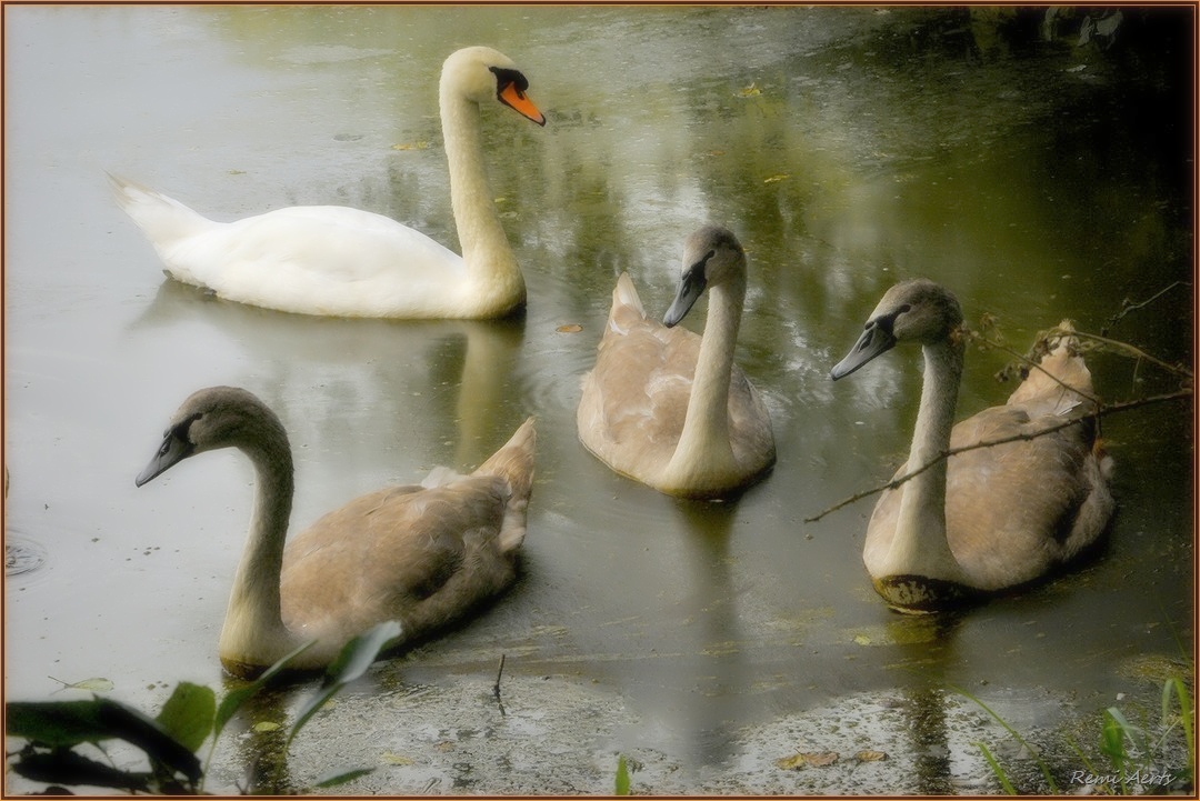 фото "***" метки: природа, разное, 
