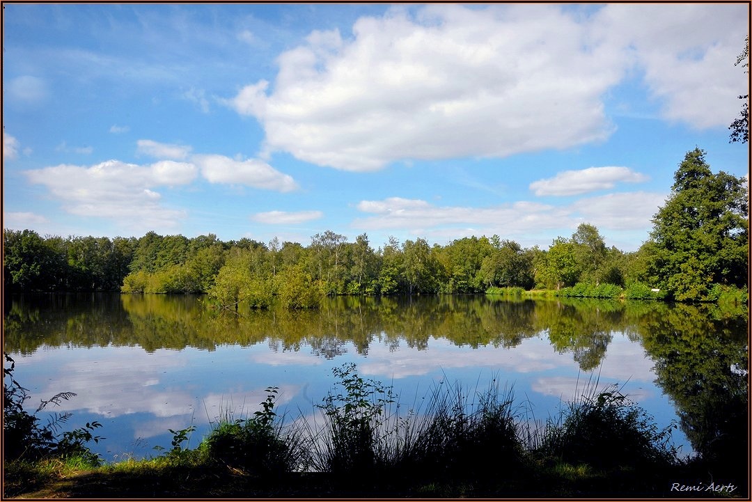 photo "domain Bokrijk ponds" tags: landscape, nature, 